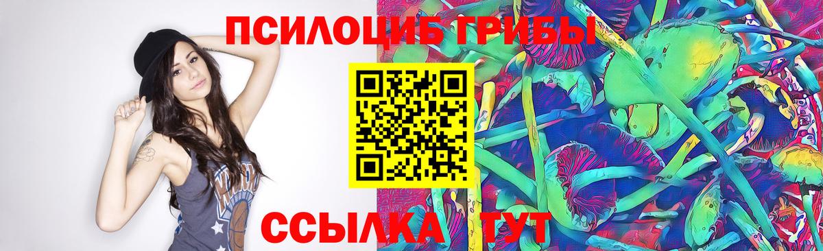 Наро-Фоминск  Галлюциногенные грибы Psilocybe  Вход с VPN 