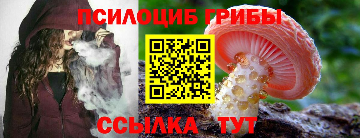 Галлюциногенные грибы Cubensis Наро-Фоминск